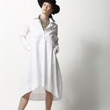Scout Shirt Dress
